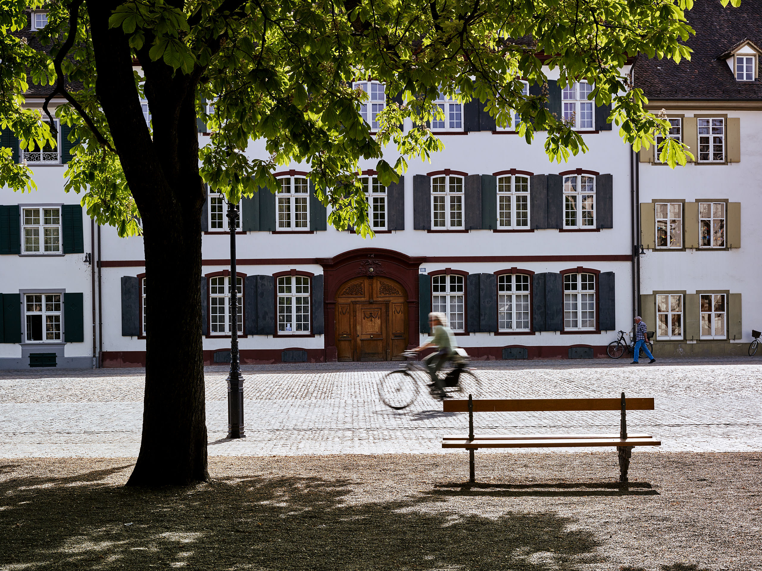 E12411 Alpa 050666 j2560